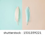 beautiful feather on a bleached ... | Shutterstock . vector #1531359221