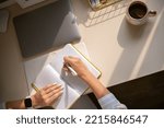 Modern brunette business woman writing diary notebook paper notes with pen sitting on comfortable desk workplace surrounded sun lights. Female remotely work routine paperwork at home office interior