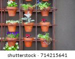 Terracotta Flower Pots....