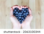 woman holding blueberries in... | Shutterstock . vector #2063100344