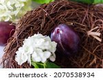 ripe plums in a vine basket on... | Shutterstock . vector #2070538934
