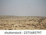 Small photo of Laungewala and Tanot are two strategically significant border posts in the Thar Desert of Rajasthan, India, near the India-Pakistan border. Laungewala is renowned for the heroic Battle of Longewala.