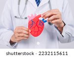 Small photo of doctor in a white coat holding heart organ paper cut, heart anatomy, heart attack, heart disease, Female with health care and Health checkup concept.
