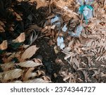 Small photo of Dry leaves fall due to global warming, but it got worse because it was mixed with plastic waste