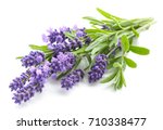 Lavender flowers bundle on a white background