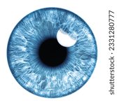 Blue eye iris   human eye