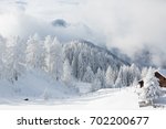 Winter in mountains 