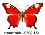 A vibrant red butterfly with...