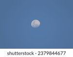 Small photo of Moon, Earth’s sole natural satellite and nearest large celestial body. Known since prehistoric times, it is the brightest object in the sky after the Sun.It is designated by the symbol ☽.