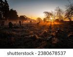 Small photo of The Graveyard Shift. Mist swirls around the head stones as the winter sun rises and all is eerily calm. Warwickshire in December.