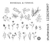 set of branches flowers. hand... | Shutterstock .eps vector #1228239097