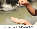 Small photo of Closeup of hand baiting a fishing hook, Uses worms as fishing bait.