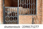 Small photo of PRINGSEWU, INDONESIA - October 16th, 2022: A brown horse looks sad and lethargic. Maybe because they are hungry, thirsty and bored of always being in the cage. This horse is in a horse park in Lampung