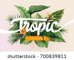 Bright Tropical Background With ...