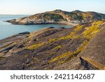 Small photo of A serene summer evening by the turquoise sea. The rocky shores of Varangerfjord in beautiful and warm summer evening light, Finnmark, Norway.