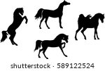 arabian horse silhouette