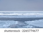 Small photo of Haliaeetus albicilla flying over Drift ice in the offing of the Abashiri port, Hokkaido, Japan