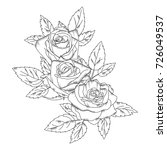 sketch rose flower .pencil... | Shutterstock .eps vector #726049537