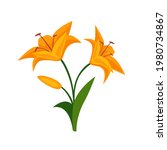 Lily Flat Vector Icon.  Lily...