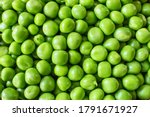 Small photo of green background with green sweet peas. green sweet pea-complete the picture. background with green sweet peas.