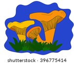 chanterelle mushrooms on a glade | Shutterstock .eps vector #396775414