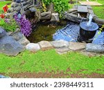 Small photo of beautifully arranged fish pond ever seen