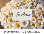 big beautiful bouquet of field daisies close-up, white greeting card with the inscription I love you in spanish - te amo