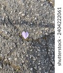 Small photo of Photo of a heart-shaped pink petal on the macadam floor