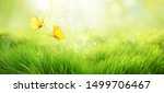 Natural green background of...