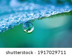 Small photo of Large drop water reflects environment. Nature spring photography â€” raindrops on plant leaf. Background image in turquoise and green tones with bokeh.