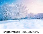Beautiful winter landscape forest glade with snow-covered tree in hoarfrost. Untouched pure white snow in drifts, with an evening sky in turquoise and pink tones and falling snow flakes in nature.