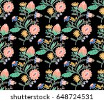 embroidery colorful  ethnic... | Shutterstock .eps vector #648724531