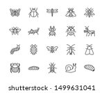 Insect flat line icons set. Butterfly, bug, dung beetle, grasshopper, cockroach, scarab, bee, caterpillar vector illustrations. Outline signs for insects pest. Pixel perfect. Editable Strokes.