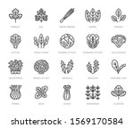 green vegetables flat line... | Shutterstock .eps vector #1569170584