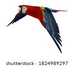 Scarlet Macaw 3d Illustration...