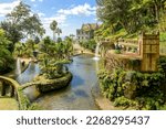 Landscape with tropical garden...