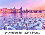 Swans on Vltava river, towers and Charles Bridge at sunset in Prague, Czech Republic.