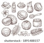 hand drawn coconut. summer... | Shutterstock .eps vector #1891488157