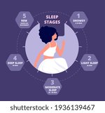 sleep cycle. healthy biology ... | Shutterstock .eps vector #1936139467