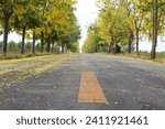 Small photo of The asphalt road is covered with yellow flower petals and the Cassia fistula or Golden shower tree with flowers blooming beautifully on either side.