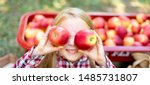 Girl with Apple holding in front of her face in the Apple Orchard. Beautiful Girl Eating Organic Apple in the Orchard. Harvest Concept. Garden, Toddler eating fruits at fall harvest. Apple pi