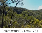 Small photo of Mount Lofty from Waterfall Gully