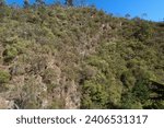 Small photo of Mount Lofty from Waterfall Gully