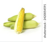 Small photo of Cornucopia of Flavor: Fresh Corn Display" beautifull image