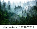 Misty foggy mountain landscape with fir forest in hipster vintage retro style