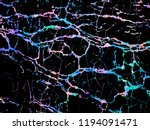 abstract background with... | Shutterstock .eps vector #1194091471