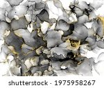 black and white watercolor... | Shutterstock . vector #1975958267