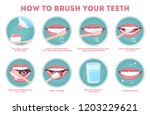 how to brush your teeth step by ... | Shutterstock .eps vector #1203229621