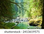 Small photo of Scenic view of a blue rocky river with tree downfall in the middle of Mt. Rainier Park.