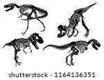 stock-vector-graphical-set-of-dinosaur-skeletons-isolated-on-white-background-vector-sketch-1164136351.jpg